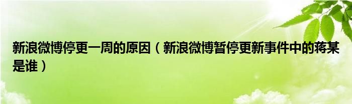 新浪微博停更一周的原因（新浪微博暂停更新事件中的蒋某是谁）