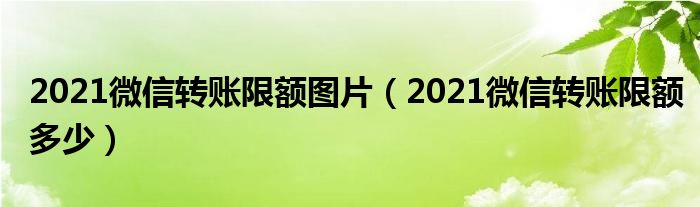 2021微信转账限额图片（2021微信转账限额多少）