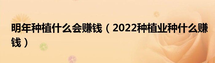 明年种植什么会赚钱（2022种植业种什么赚钱）