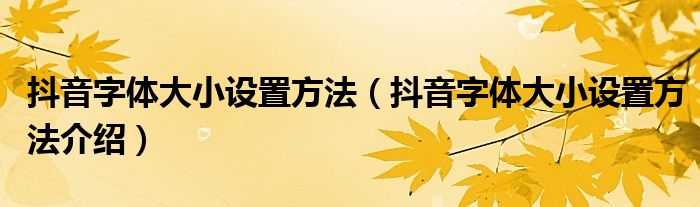 抖音字体大小设置方法（抖音字体大小设置方法介绍）