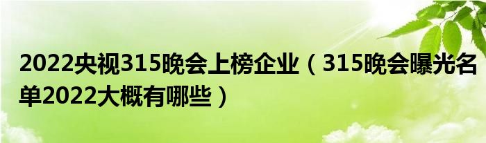 2022央视315晚会上榜企业（315晚会曝光名单2022大概有哪些）