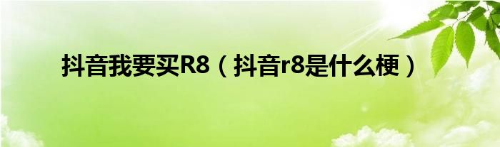 抖音我要买R8（抖音r8是什么梗）