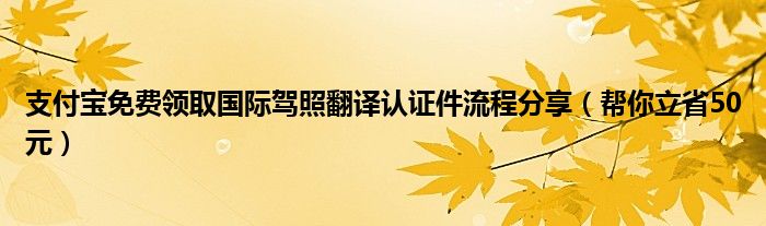 支付宝免费领取国际驾照翻译认证件流程分享（帮你立省50元）