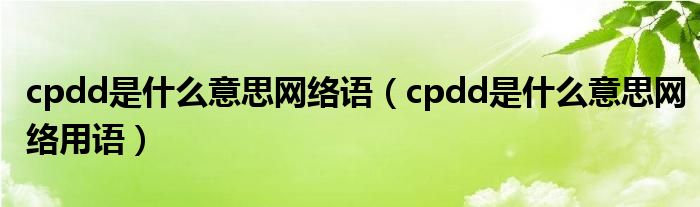 cpdd是什么意思网络语（cpdd是什么意思网络用语）