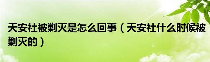 天安社被剿灭是怎么回事（天安社什么时候被剿灭的）