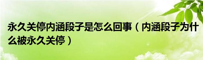 永久关停内涵段子是怎么回事（内涵段子为什么被永久关停）