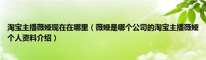 淘宝主播薇娅现在在哪里（薇娅是哪个公司的淘宝主播薇娅个人资料介绍）