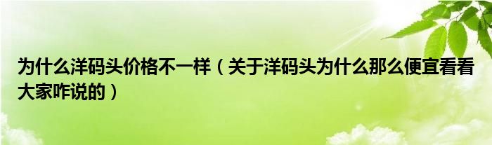 为什么洋码头价格不一样（关于洋码头为什么那么便宜看看大家咋说的）