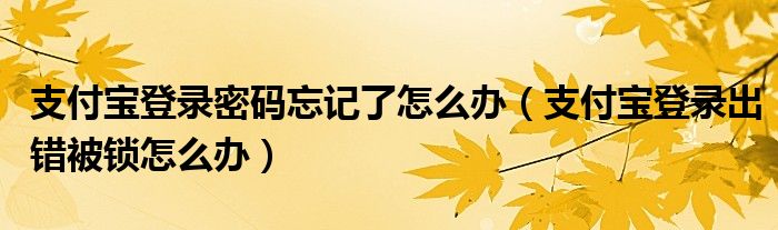 支付宝登录密码忘记了怎么办（支付宝登录出错被锁怎么办）