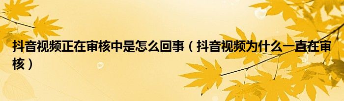 抖音视频正在审核中是怎么回事（抖音视频为什么一直在审核）