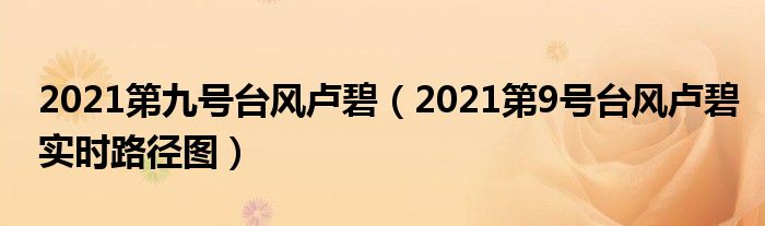 2021第九号台风卢碧（2021第9号台风卢碧实时路径图）