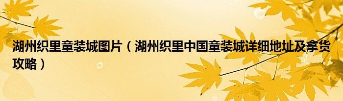 湖州织里童装城图片（湖州织里中国童装城详细地址及拿货攻略）