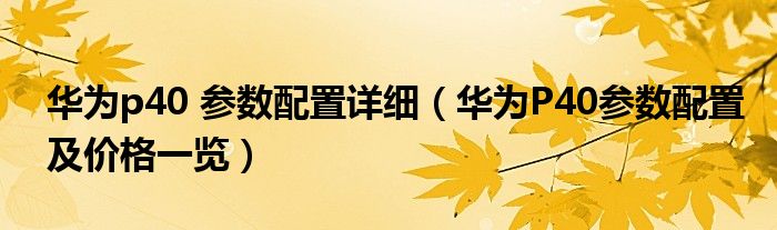 华为p40 参数配置详细（华为P40参数配置及价格一览）