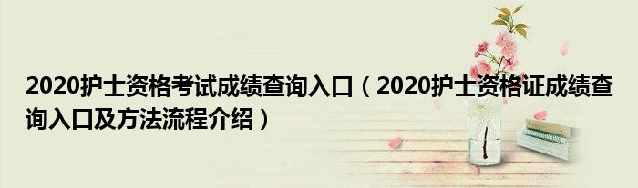 2020护士资格考试成绩查询入口（2020护士资格证成绩查询入口及方法流程介绍）