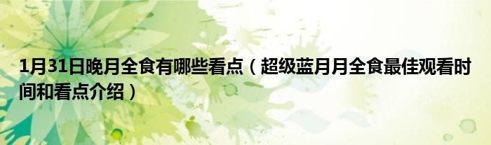 1月31日晚月全食有哪些看点（超级蓝月月全食最佳观看时间和看点介绍）