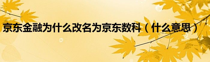 京东金融为什么改名为京东数科（什么意思）