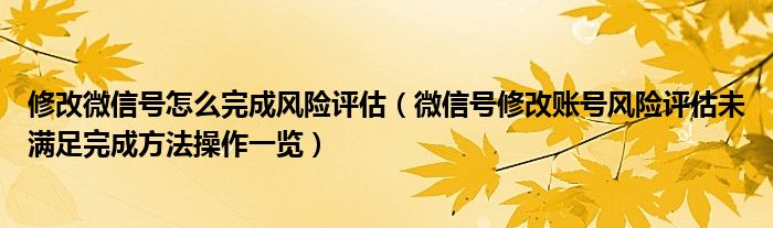 修改微信号怎么完成风险评估（微信号修改账号风险评估未满足完成方法操作一览）