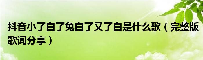 抖音小了白了兔白了又了白是什么歌（完整版歌词分享）