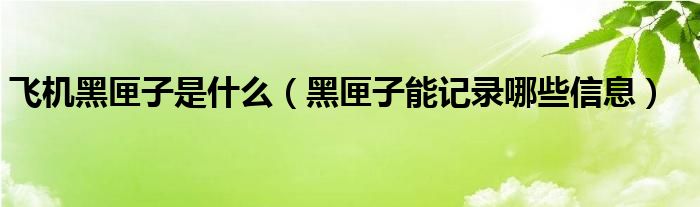 飞机黑匣子是什么（黑匣子能记录哪些信息）