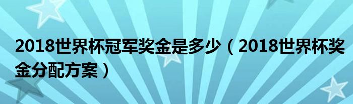 2018世界杯冠军奖金是多少（2018世界杯奖金分配方案）