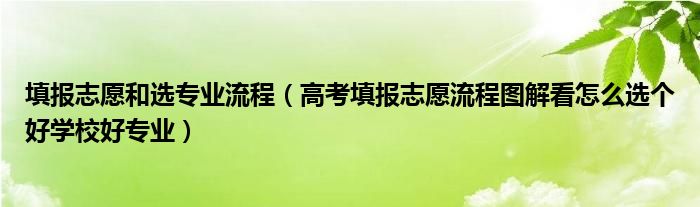 填报志愿和选专业流程（高考填报志愿流程图解看怎么选个好学校好专业）