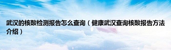 武汉的核酸检测报告怎么查询（健康武汉查询核酸报告方法介绍）