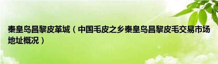 秦皇岛昌黎皮革城（中国毛皮之乡秦皇岛昌黎皮毛交易市场地址概况）