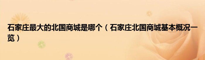 石家庄最大的北国商城是哪个（石家庄北国商城基本概况一览）