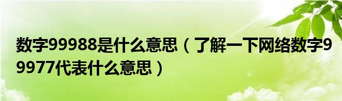 数字99988是什么意思（了解一下网络数字99977代表什么意思）