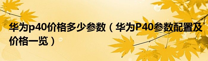 华为p40价格多少参数（华为P40参数配置及价格一览）