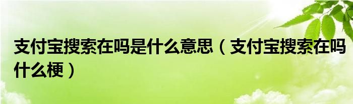 支付宝搜索在吗是什么意思（支付宝搜索在吗什么梗）