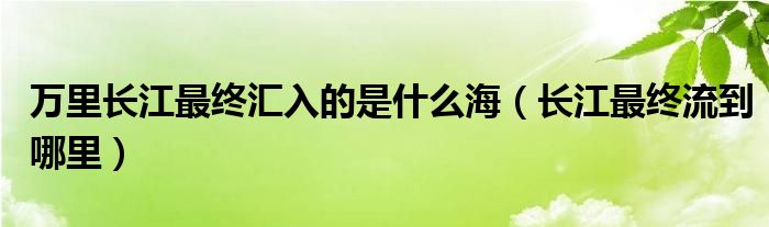 万里长江最终汇入的是什么海（长江最终流到哪里）