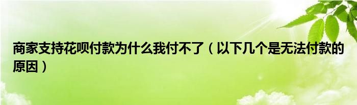 商家支持花呗付款为什么我付不了（以下几个是无法付款的原因）