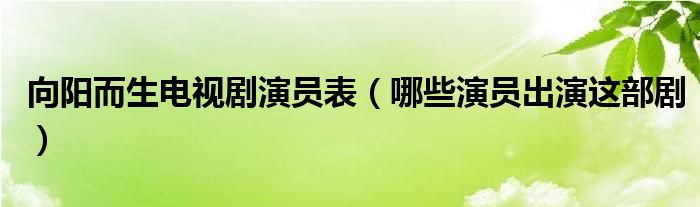 向阳而生电视剧演员表（哪些演员出演这部剧）