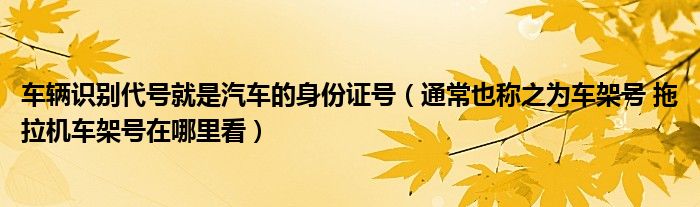 车辆识别代号就是汽车的身份证号（通常也称之为车架号 拖拉机车架号在哪里看）