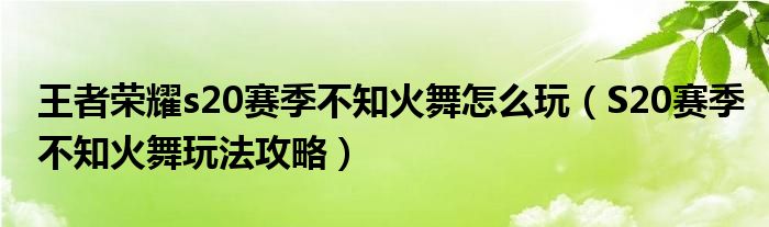 王者荣耀s20赛季不知火舞怎么玩（S20赛季不知火舞玩法攻略）