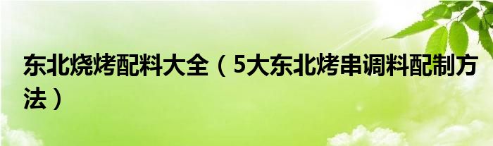 东北烧烤配料大全（5大东北烤串调料配制方法）