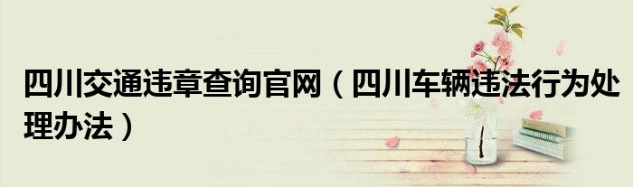 四川交通违章查询官网（四川车辆违法行为处理办法）