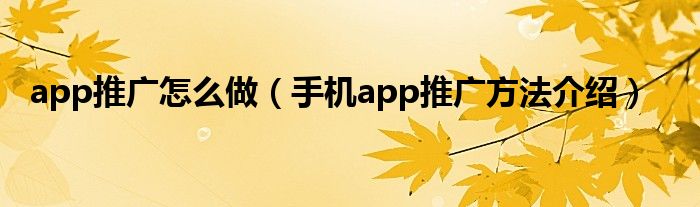 app推广怎么做（手机app推广方法介绍）