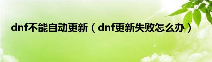 dnf不能自动更新（dnf更新失败怎么办）