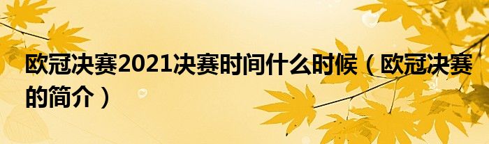 欧冠决赛2021决赛时间什么时候（欧冠决赛的简介）