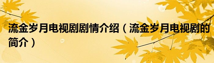 流金岁月电视剧剧情介绍（流金岁月电视剧的简介）