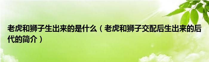 老虎和狮子生出来的是什么（老虎和狮子交配后生出来的后代的简介）