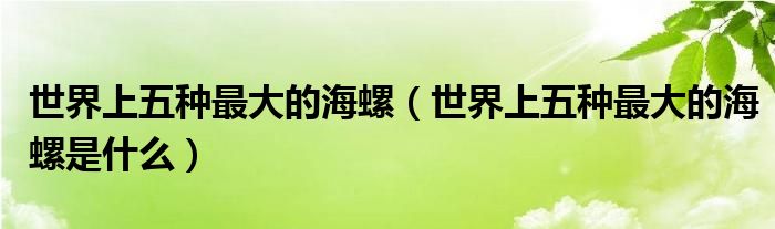 世界上五种最大的海螺（世界上五种最大的海螺是什么）