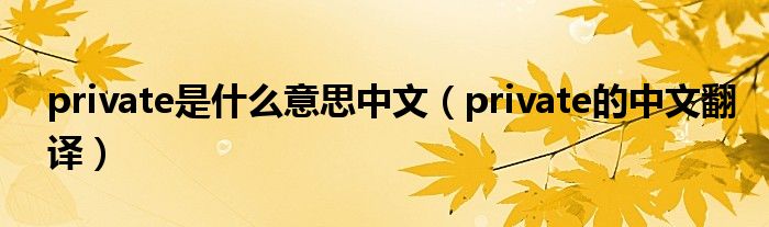 private是什么意思中文（private的中文翻译）