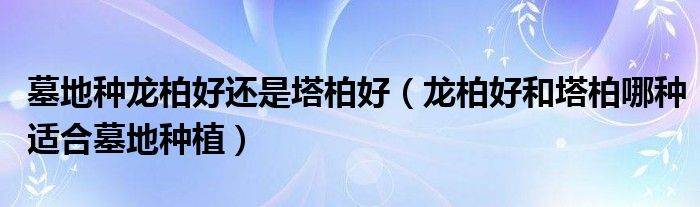 墓地种龙柏好还是塔柏好（龙柏好和塔柏哪种适合墓地种植）