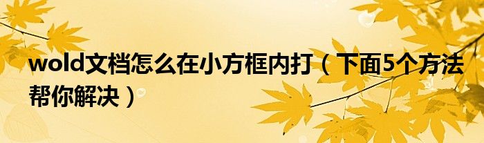 wold文档怎么在小方框内打（下面5个方法帮你解决）