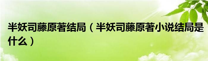 半妖司藤原著结局（半妖司藤原著小说结局是什么）