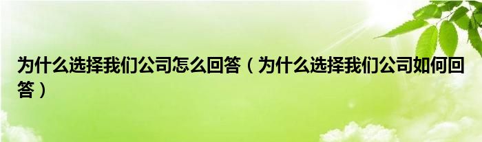 为什么选择我们公司怎么回答（为什么选择我们公司如何回答）