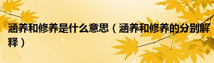 涵养和修养是什么意思涵养和修养的分别解释